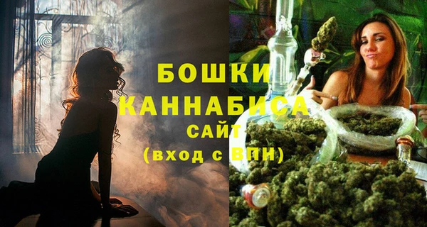 соль ск Белокуриха