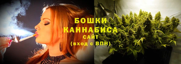 соль ск Белокуриха